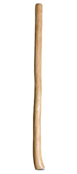 Medium Size Natural Finish Didgeridoo (TW1174)